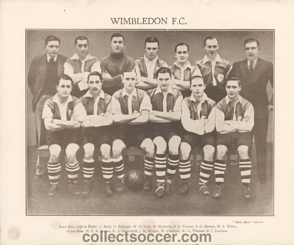 1930’s Rare Daily Mail Souvenir Wimbledon Team Group Plate