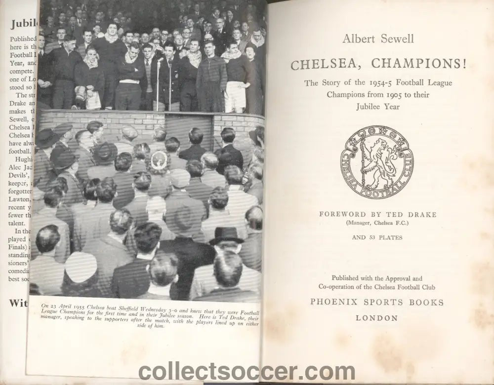 1955 Chelsea Champions by Albert Sewell - Collect Soccer
