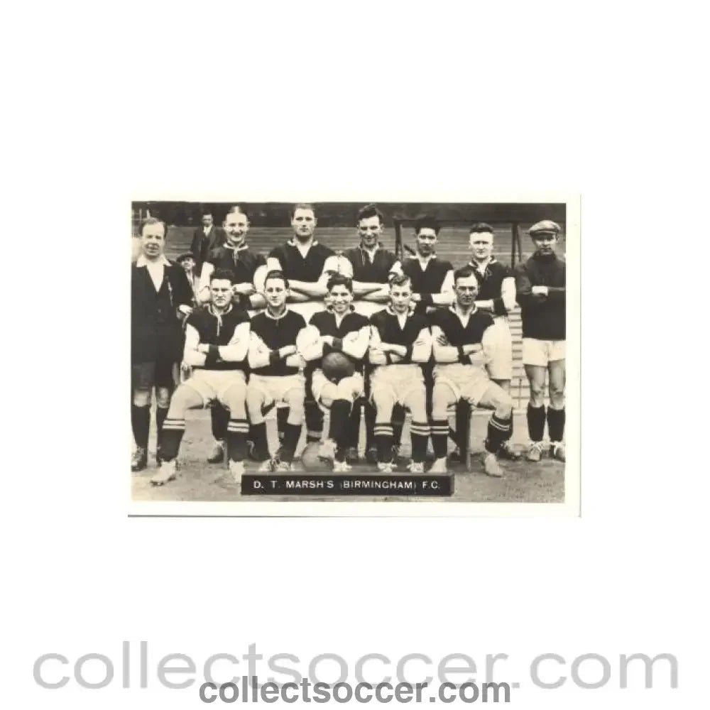 D.T. Marsh's Birmingham FC Photocard - Collect Soccer