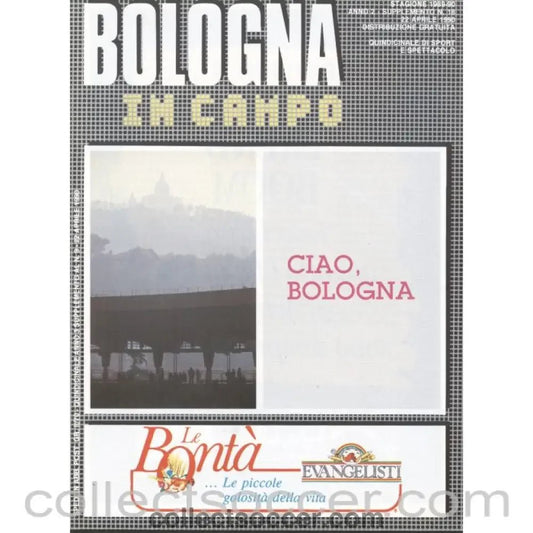 1990 World Cup Final Bologna Produced Programme - Collect Soccer