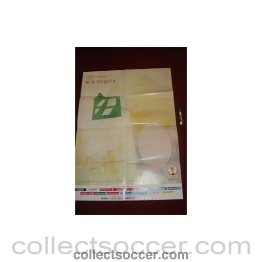 2002 World Cup Niigata Venu very large Poster 100 x 72 cm
