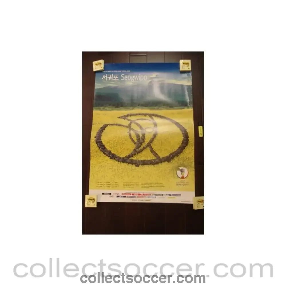 2002 World Cup Seogwipo poster - Collect Soccer