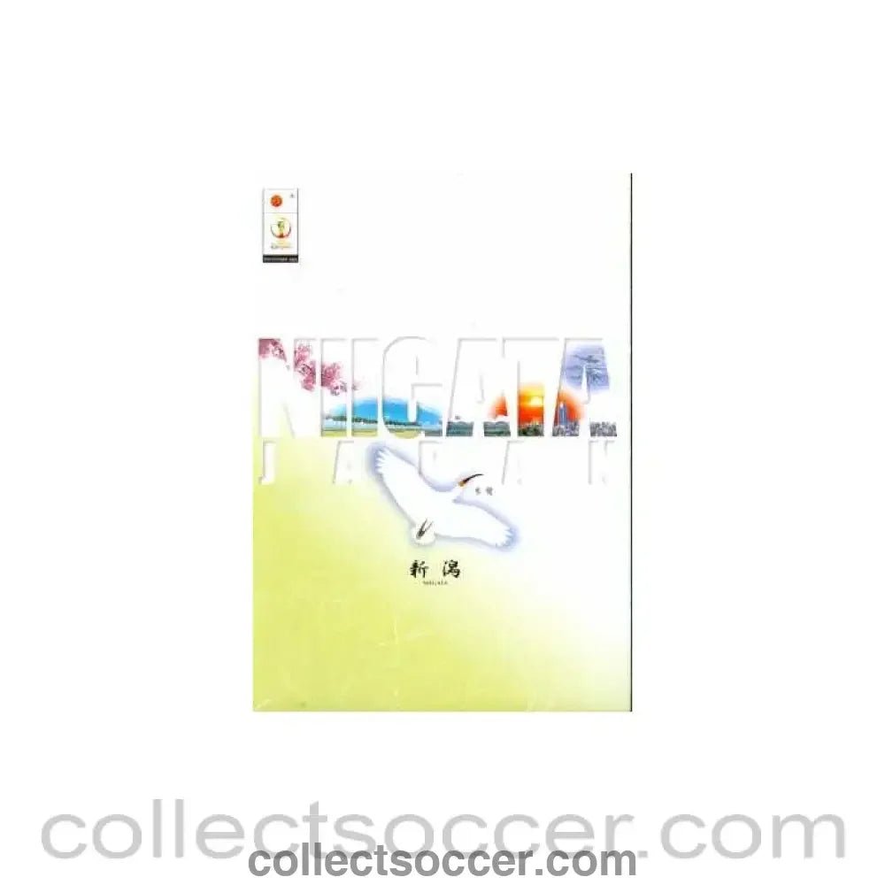 2002 World Cup VIP Niigata Stadium Brochure - Collect Soccer