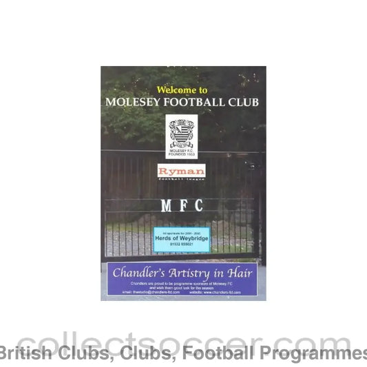 2005 - Molesey Community Team vChelsea Old Boys official programme 13/02/2005