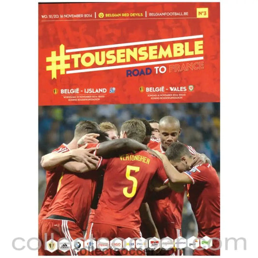 2014 Belgium v Wales and Belgium v Iceland Official Programme - Collect Soccer