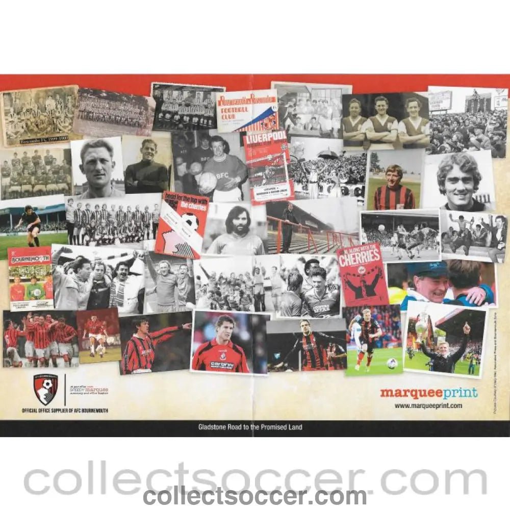 2016 Bournemouth V Chelsea Original Colour Team Sheet - Collect Soccer