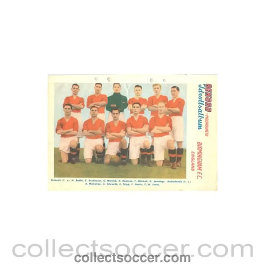 Birmingham FC colour team photograph - Rekord Magazine