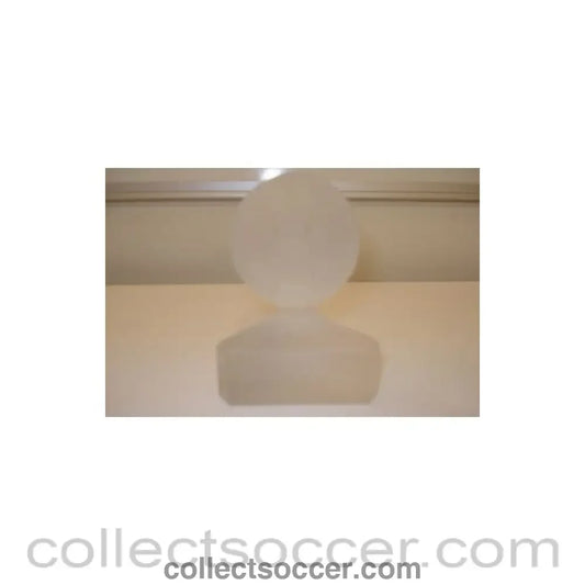 Frederick A. Millichip crystal ball presentation