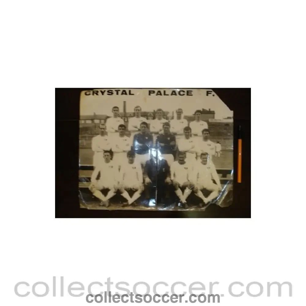 Large team photograph of Crystal Palase - Collect Soccer