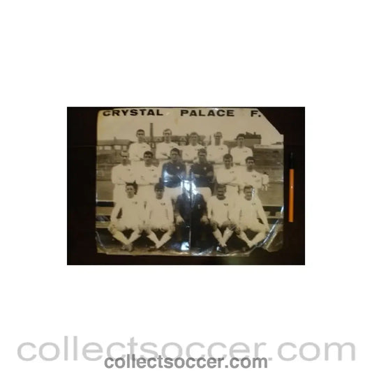 Large team photograph of Crystal Palase