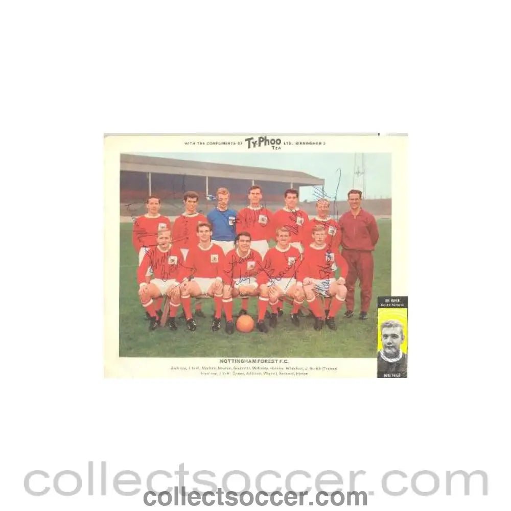 Nottingham Forest signed team photograph - Collect Soccer