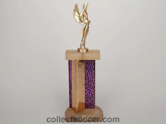 Once Owned by Pele himself - Champion Forever Trophy. - Collect Soccer