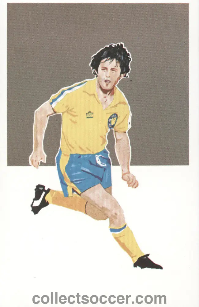 Original Sigma Card Brian Flynn of Leeds United in Mint Condition