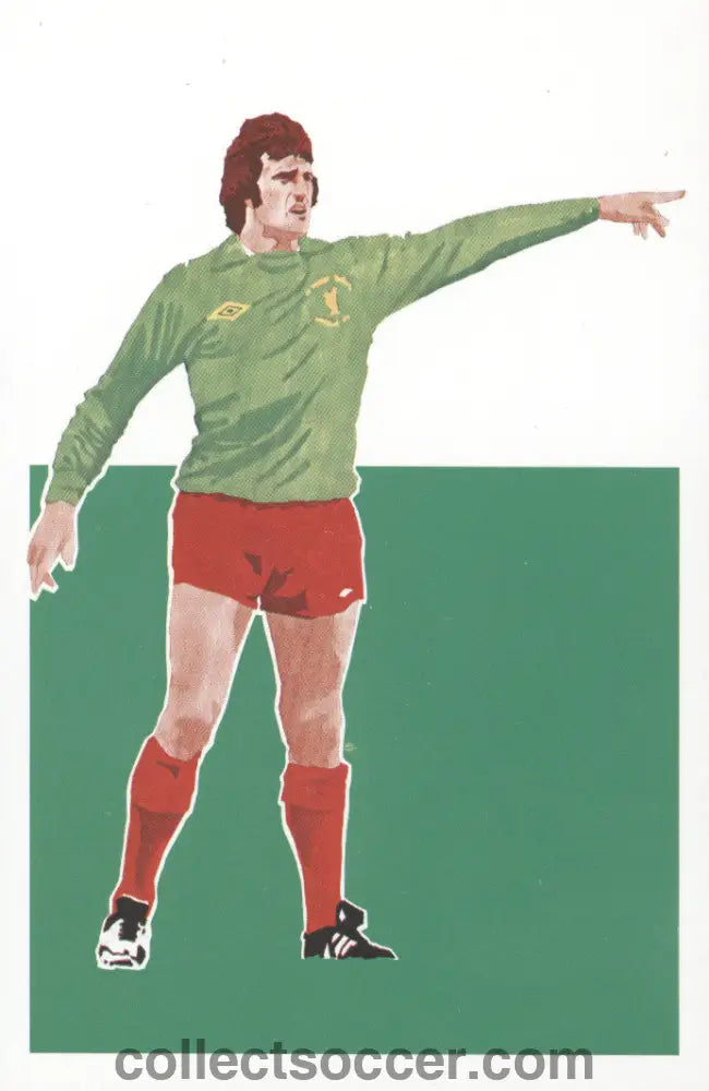 Original Sigma Card Ray Clemence Liverpool in Mint Condition