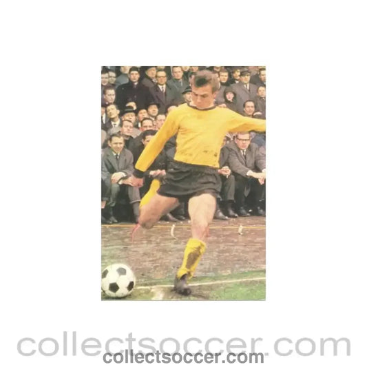 Reinhard Libuda postcard