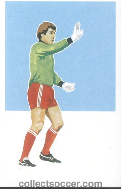 Sigma Card Peter Shilton Nottingham Forest Mint Condition