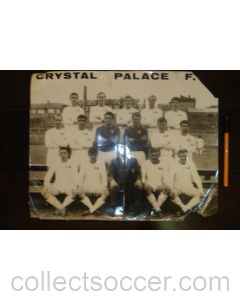 Large team photograph of Crystal Palase